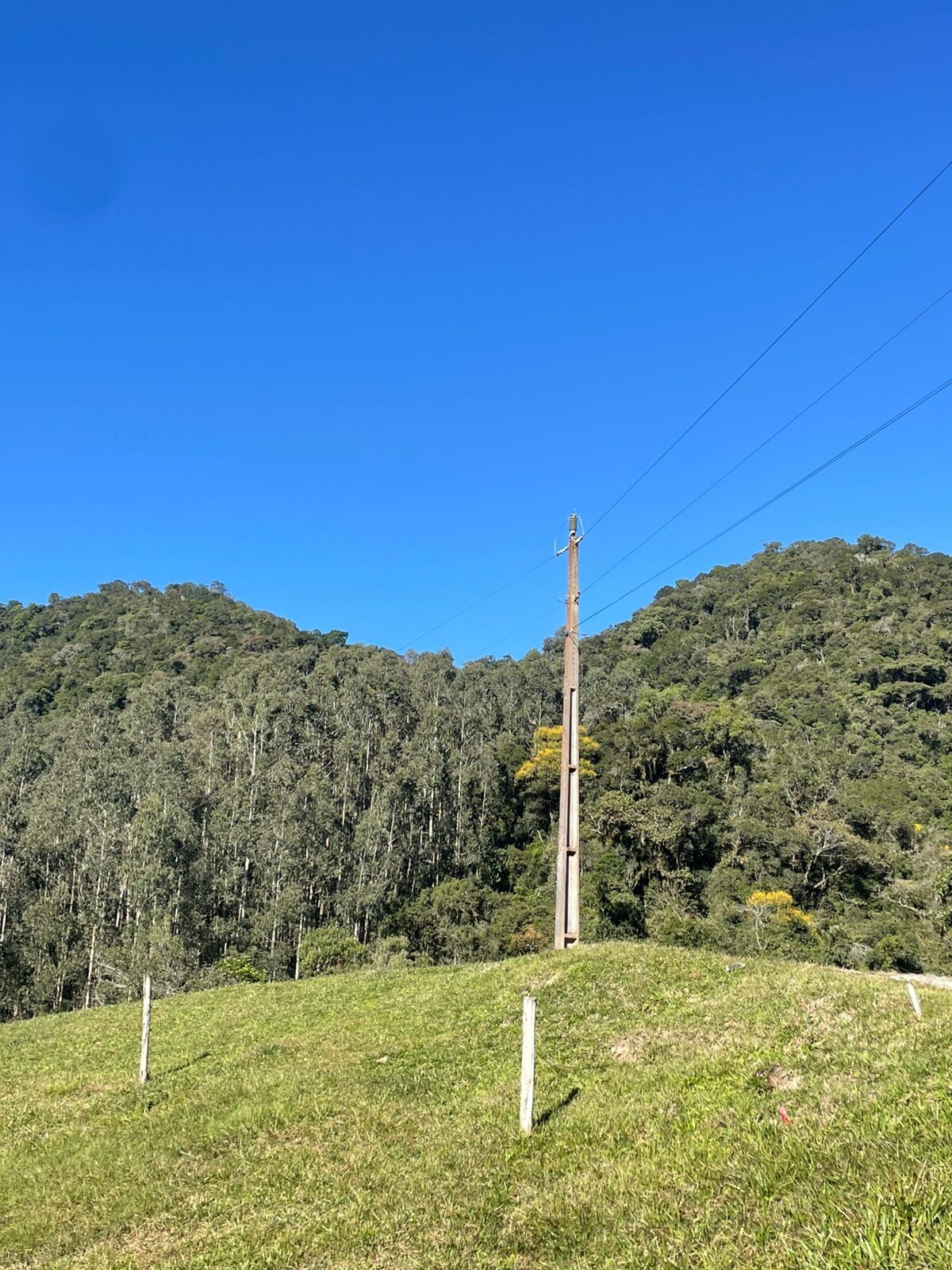 Gleba no Ribeirão Carneiro (foto 2 de 7)