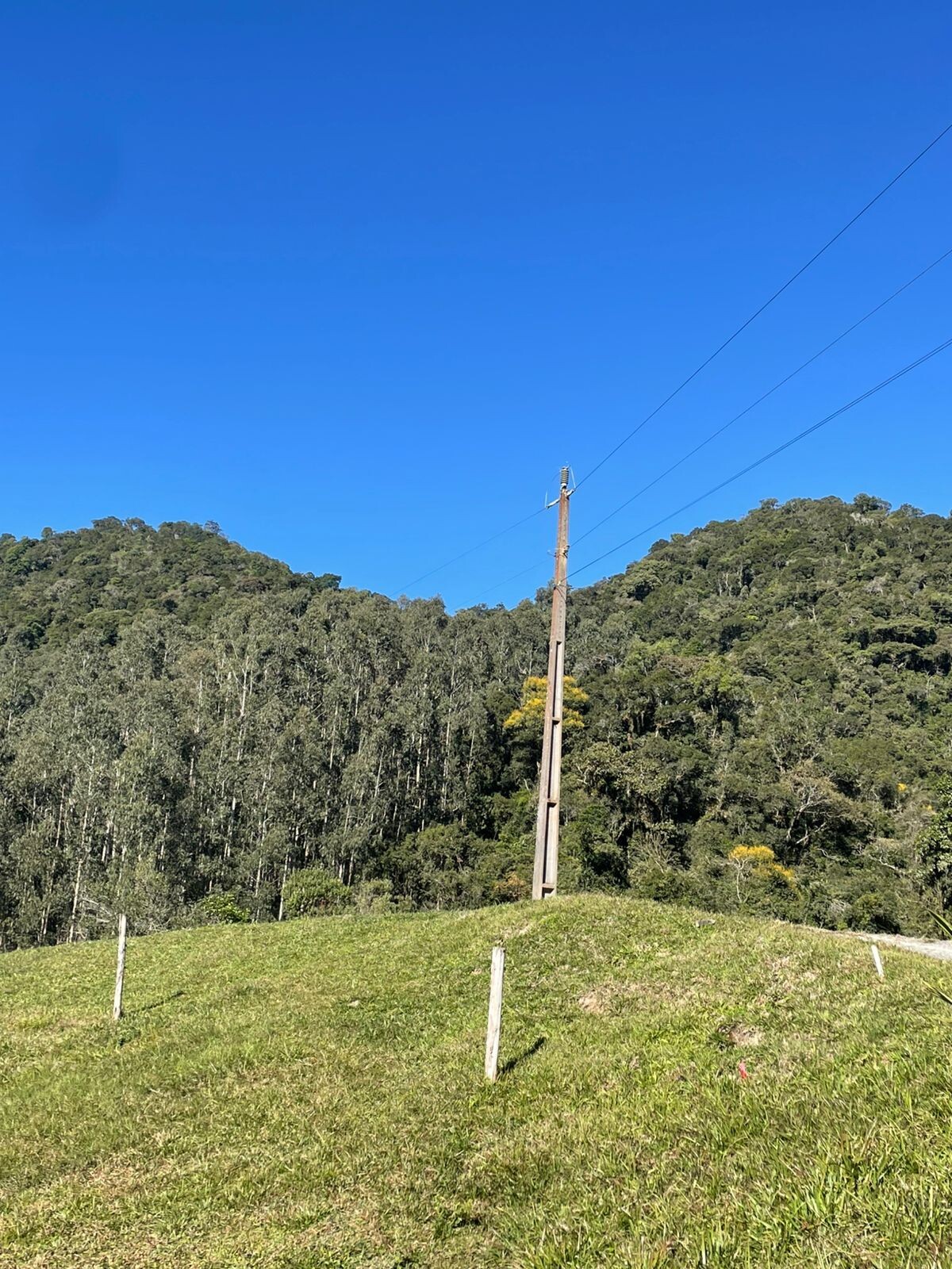 Gleba no Ribeirão Carneiro (foto 3 de 7)