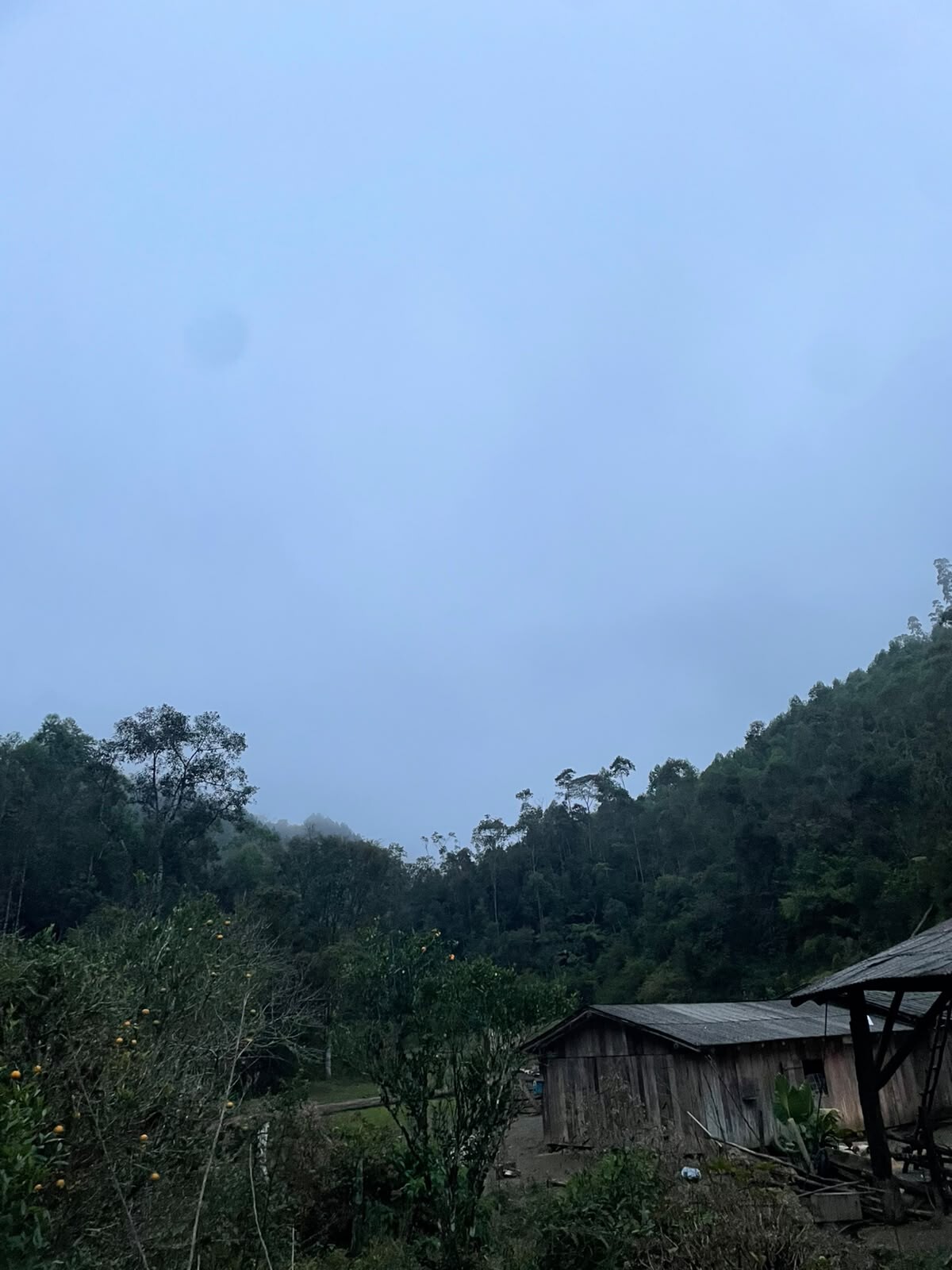 Gleba no Ribeirão Carneiro (foto 4 de 7)