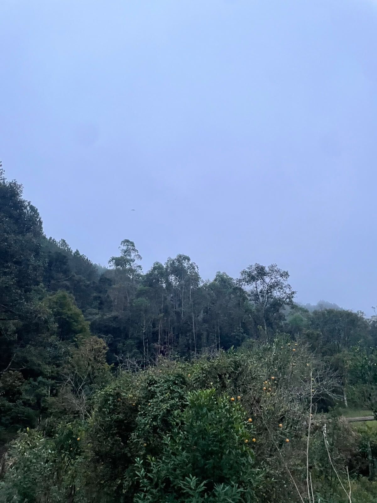 Gleba no Ribeirão Carneiro (foto 3 de 7)