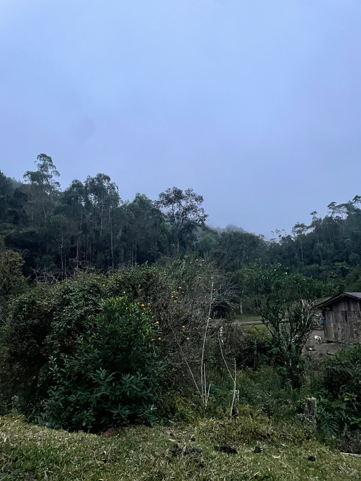 Gleba no Ribeirão Carneiro (foto 2 de 7)