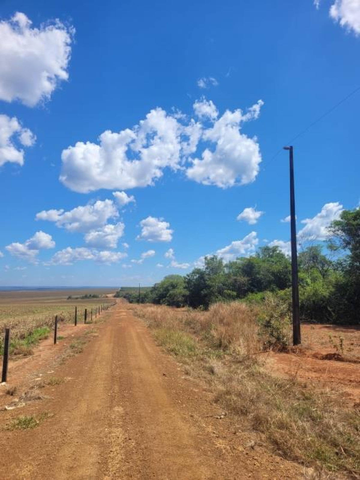 Gleba (foto 6 de 10)