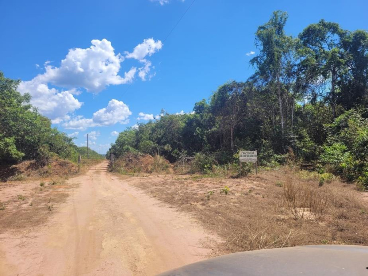 Gleba (foto 8 de 10)