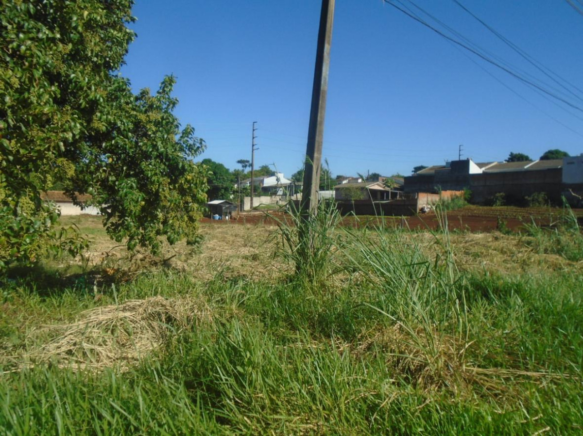 Terreno no Portal da Foz (foto 2 de 3)