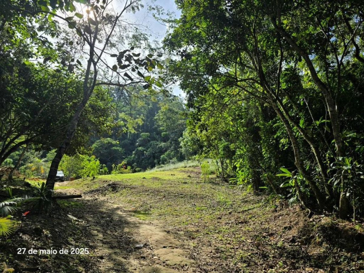 Gleba (foto 5 de 6)