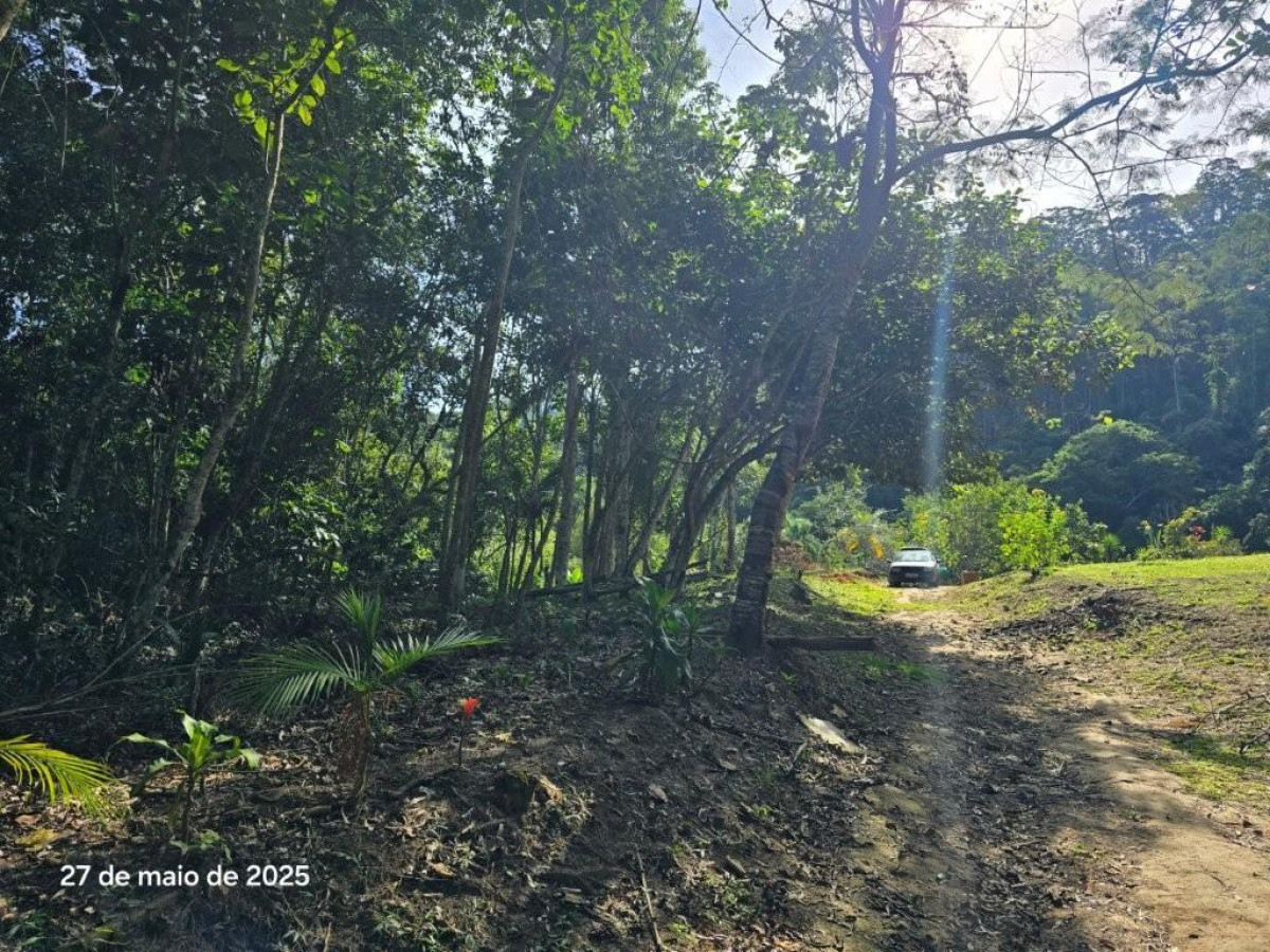 Gleba (foto 6 de 6)