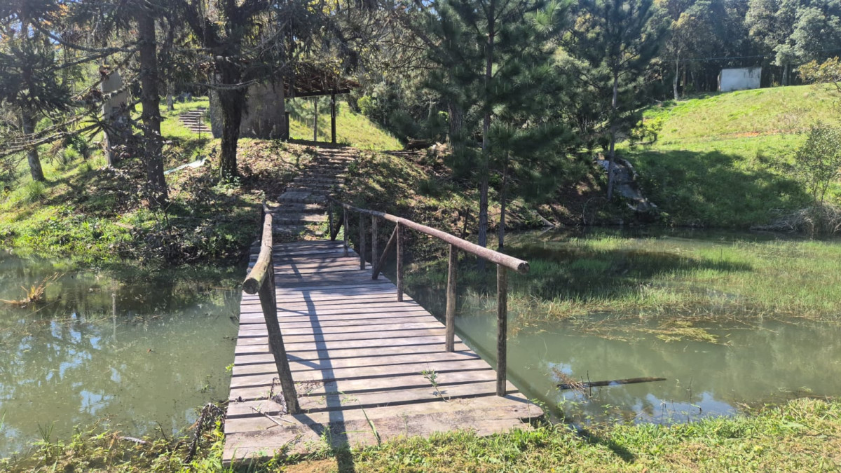 Gleba em São José dos Pinhais/PR — foto 1