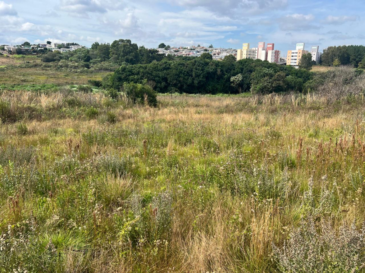 Terreno no Jardim Bela Vista em Campos Novos/SC — foto 1
